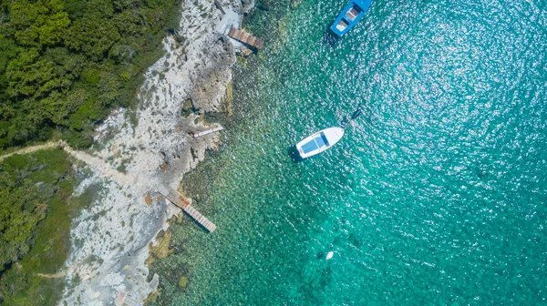 Vista costiera dal drone, foresta verde e costa rocciosa Foto Stock