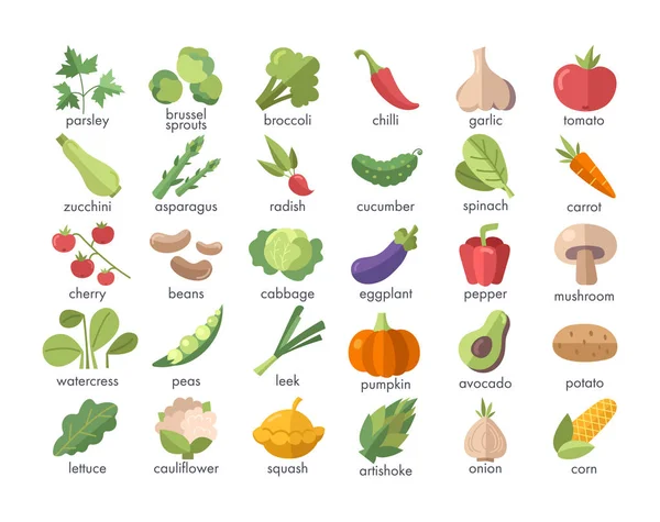 Gran conjunto de verduras coloridas nombradas en blanco — Vector de stock