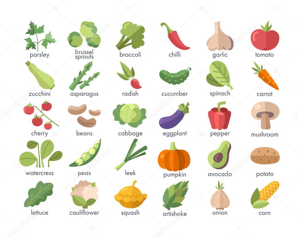 Large set of named colorful vegetables on white