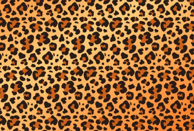 Renkli leopar hayvan deseni tasarımı.