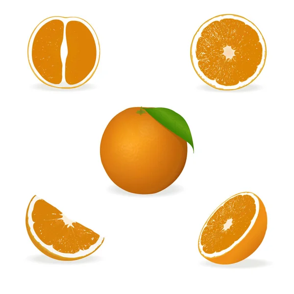 Векторное изображение апельсина и его ломтиков — стоковый вектор