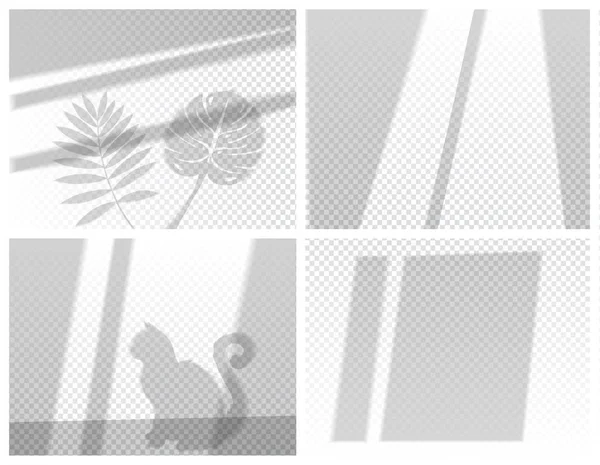 座った猫と4つの異なる灰色の影のシャドウセット、視点を示す2つの異なる葉とストライプ — ストックベクタ