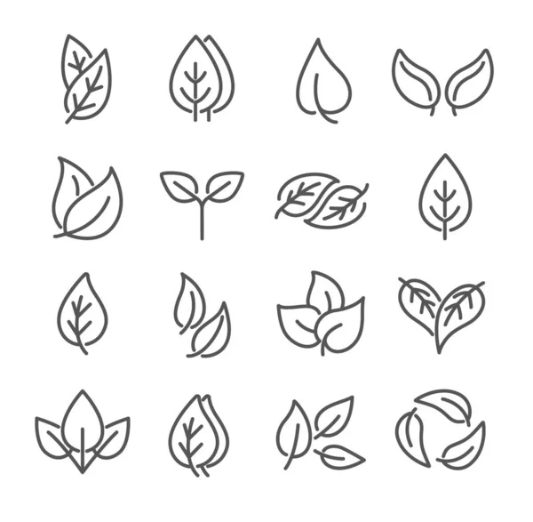 Wybór czarno-białych szkicowanych liści ekologicznych — Wektor stockowy