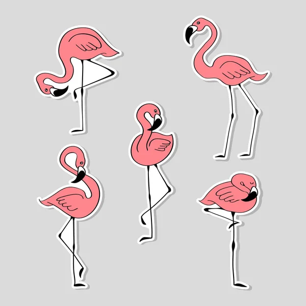 Definir adesivos com flamingo rosa desenhado à mão — Vetor de Stock