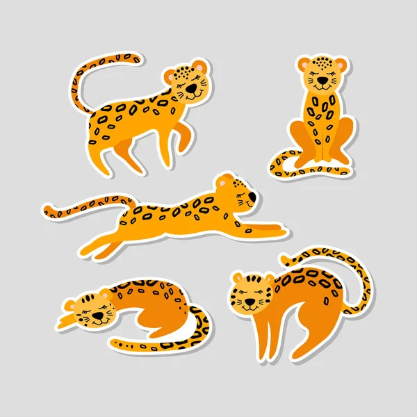 Ensemble d'autocollants avec des léopards de dessin animé mignons — Image vectorielle