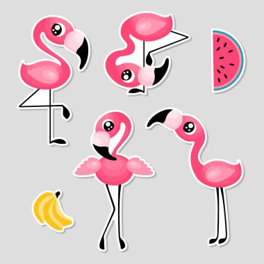 Flamingolu ve meyveli çıkartmalar.