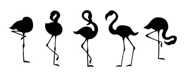 Flamingo siluety set — Stockový vektor