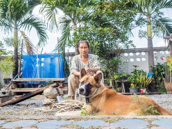 Старшая женщина со своей милой коричневой пушистой собакой — стоковое фото