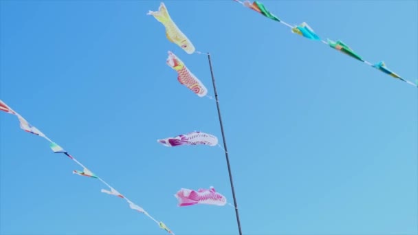 Koinobori Saifish Kite Струмінь Вітрового Скла Синім Фоном Неба — стокове відео