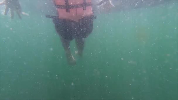 女腿穿着比基尼和防护服在混浊的海水中游泳 — 图库视频影像