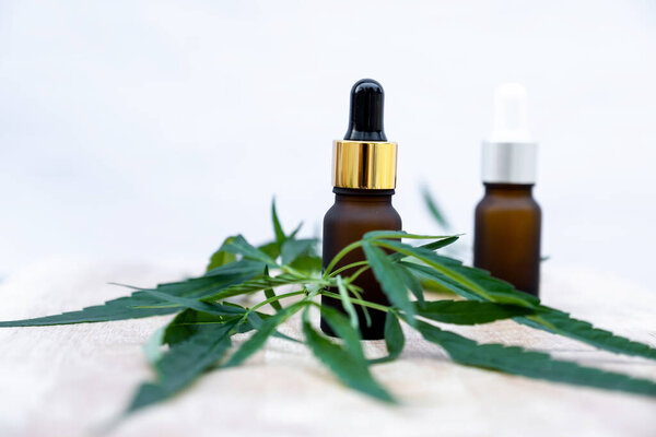 Hemp leaves and CBD oil. Alternative Medicine, Herbal Treatment concept.