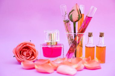 Temel yağ, gül çiçeği, beyaz arka planda gül parfümü, spa aroması..