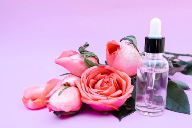 Temel yağ, gül çiçeği, beyaz arka planda gül parfümü, spa aroması..