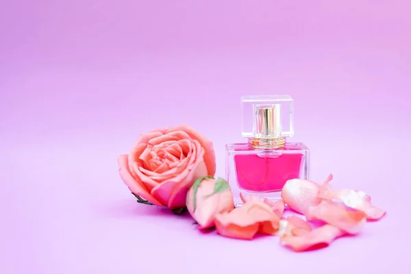 Essentiell Olja Rose Blomma Rose Parfym Vit Bakgrund Spa Aromaterapi — Stockfoto