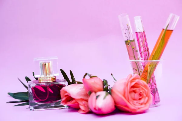 Olejek Eteryczny Kwiat Róży Perfumy Różane Białym Tle Aromaterapia Spa — Zdjęcie stockowe