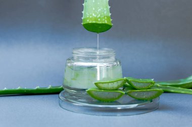 Aloe vera jeli ve aloe vera yıldız kaktüsü gri arka planda izole edilmiş..