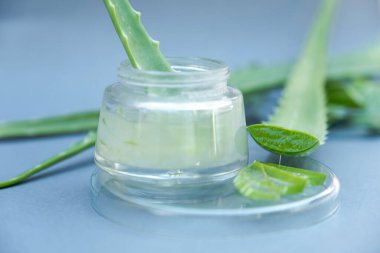 Aloe vera jeli ve aloe vera yıldız kaktüsü gri arka planda izole edilmiş..