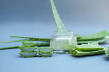 Aloe vera jeli ve aloe vera yıldız kaktüsü gri arka planda izole edilmiş..