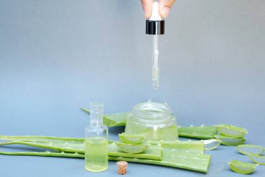 El sızıntısı Aloe Vera yıldız kaktüsü damlatıcı ve aloe vera yıldız kaktüsüyle birlikte gri arka planda izole edilmiş..