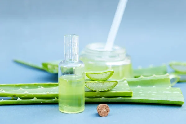 Aloe vera jeli ve aloe vera yıldız kaktüsü gri arka planda izole edilmiş..