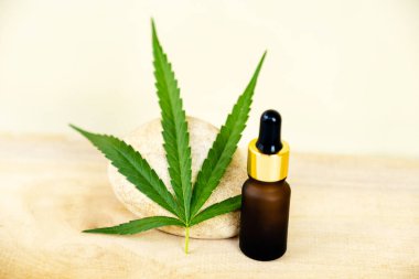 Kenevir yaprağı ve CBD yağı. Alternatif tıp, bitkisel tedavi kavramı.