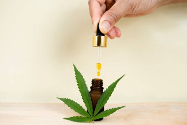 El damlası CBD yağı, kenevir yaprakları. Alternatif tıp, bitkisel tedavi kavramı.