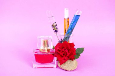 Temel yağ, gül çiçeği, pembe arka planda gül parfümü, spa aroması..