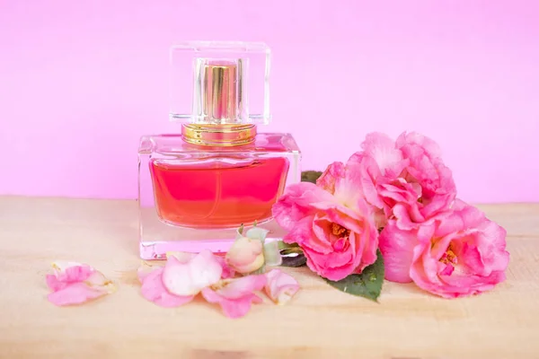Aceite Esencial Flor Rosa Perfume Rosa Sobre Fondo Rosa Aromaterapia — Foto de Stock