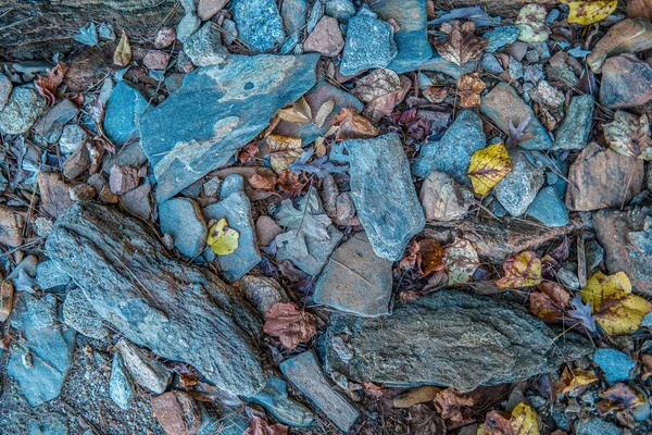 Падшие листья на скалах — стоковое фото