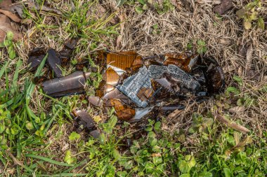 Parçalanmış kahverengi bir bira şişesi yol kenarında keskin parçalar halinde yere uzanmış güneşli bir günde yakından bakıyordu.