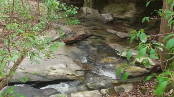 Creek Mountains Small Waterfalls Flowing Rocks Boulders Going Downstream Forest — Stock Video
