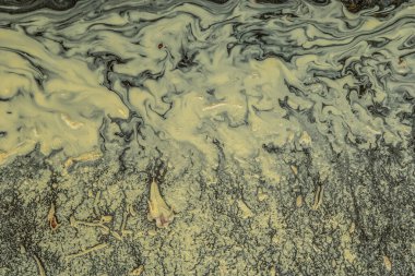 Çimento zemindeki yağmurdan sonra bir su birikintisinde toplanan taze sarı polen bahar gününde girdap şeklinde soyut bir şekil oluşturuyor.