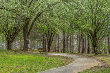 Boş bir parktaki boş bir bank ve patika, ilkbaharın başlarında arka planda çiçek açan ağaçların oluşturduğu sığınak yüzünden kısıtlamalar altında.