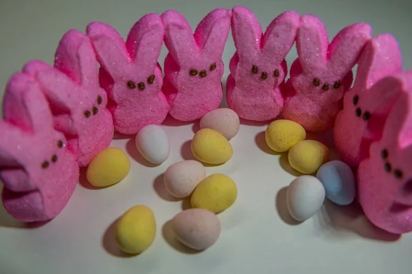 Gathering Pink Marshmallow Bunny Peeps Standing Upright Circle Colorful Candy — Stock Photo, Image
