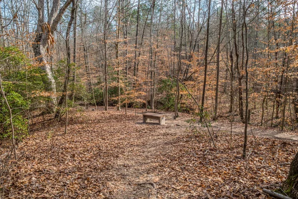 Eine Sitzbank Zum Ausruhen Entlang Der Wege Wald Umgeben Von — Stockfoto