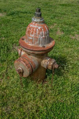 Pas kaplı eski bir yangın musluğu. Güneşli bir günde, üssün etrafını saran yabani otlar ve otlar hâlâ kullanılıyor.