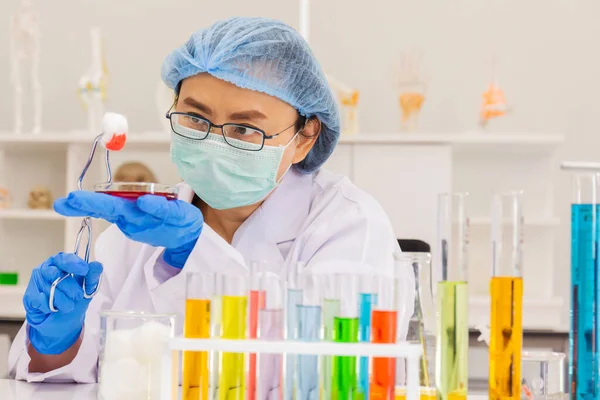 Een Aziatische Vrouwelijke Wetenschapper Onderzoekt Een Chemische Formule Een Lab — Stockfoto