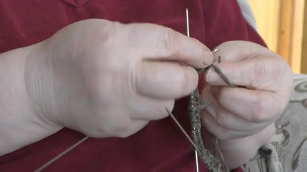 Woman Knitter Knitting Wool — Stock Video