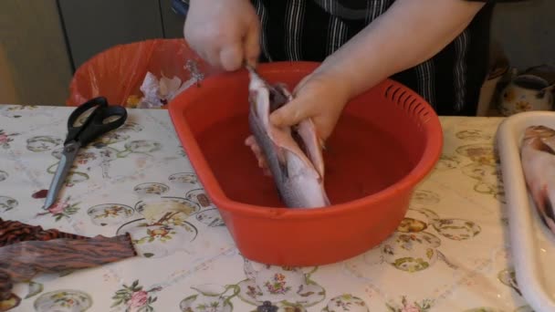 Mulher Limpa Peixe Fresco Cozinha — Vídeo de Stock