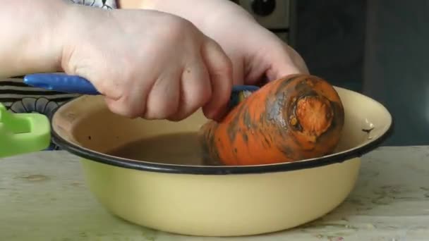 Uma Mulher Cozinheiro Limpa Legumes Frescos — Vídeo de Stock