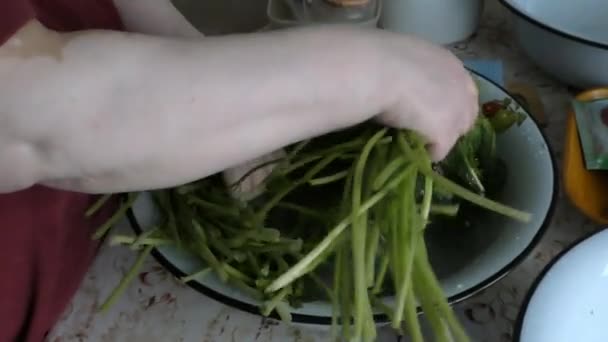 Une Femme Cuisinière Nettoie Les Légumes Frais — Video