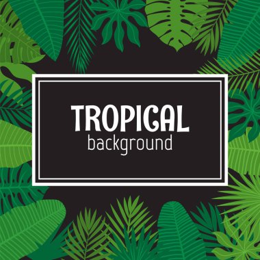 Tropikal yaprakları ile arka plan. Blac orman desen