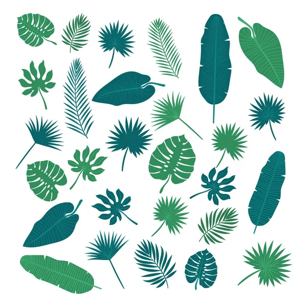 Collection de feuilles tropicales. Éléments naturels pour votre design — Image vectorielle