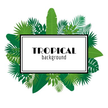 Tropikal yaprak arka plan. Yaz tasarım. Kare çerçeve