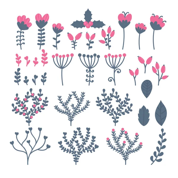 Collection de fleurs, baies, feuilles et branches. Ensemble de flor — Image vectorielle