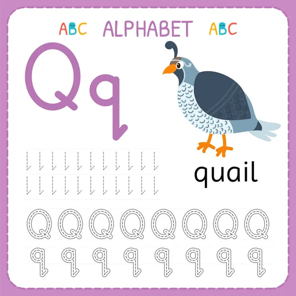 Alphabet tracing worksheet for preschool and kindergarten. Writing practice letter Q. Exercises for kids — Stock Vector