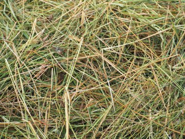 Arkaplanda pipet veya saman yığını.