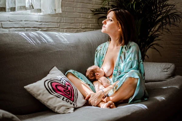 Yeni doğmuş bir bebek annesini emziriyor. Aile kavramı