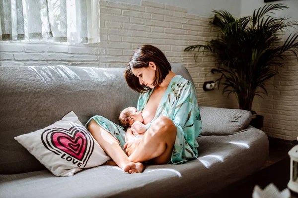 Yeni doğmuş bir bebek annesini emziriyor. Aile kavramı