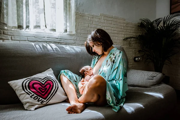 Yeni doğmuş bir bebek annesini emziriyor. Aile kavramı